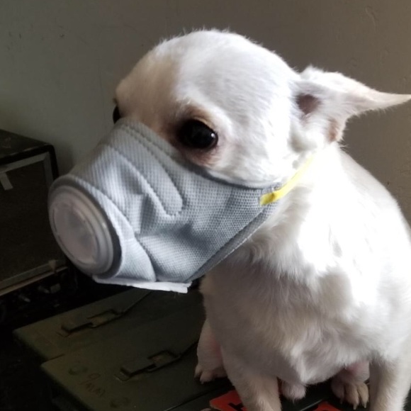 Other - Gas mask for pet dog small virus medical costume apocalypse zombie humor gag